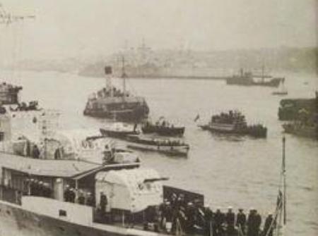 紫石英号事件简介 该事件是在什么样的背景下发生的