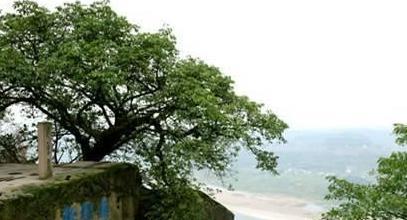 南宋钓鱼城究竟发生了什么事情 为何说该地方挽救了半个世界