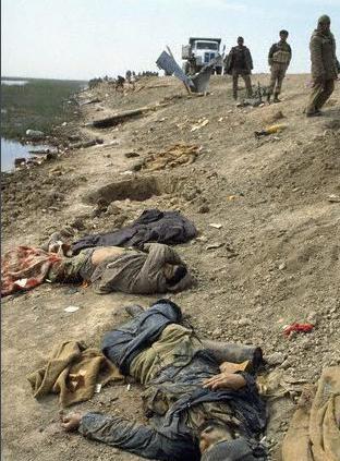 两伊战争的结果是什么 两伊战争的过程是什么样子的