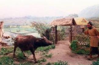 为何战国七雄打了数百年都不缺粮食