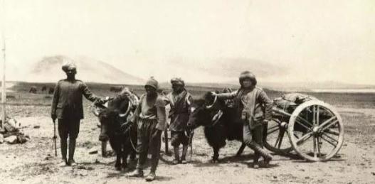 新疆牧民帮英国探险家捕野骆驼,老外却把他不当人,最后吃尽苦头