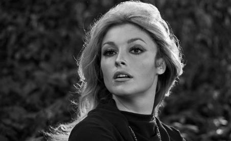 好莱坞最有前途的女演员莎朗·塔特 在最后一部电影播放前被谋杀了