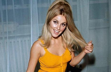 好莱坞最有前途的女演员莎朗·塔特 在最后一部电影播放前被谋杀了