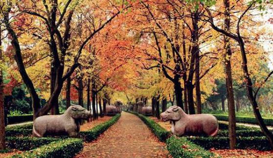 朱元璋到农家避雨，后来赐农夫“牧马千户”