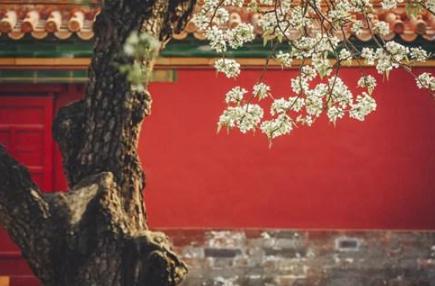 故宫宫墙矮了90厘米是什么原因