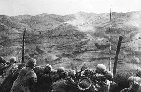 蘑菇战术简介 战术的基本特点及应用历史是什么样的