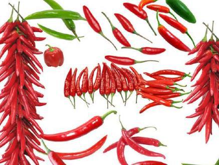 在辣椒没有传入之前 古人都不吃辣吗
