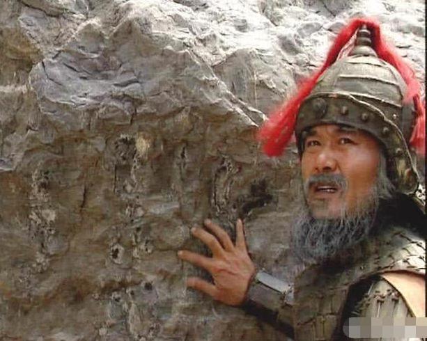 诸葛亮精心挑选的姜维，在正史中什么样?