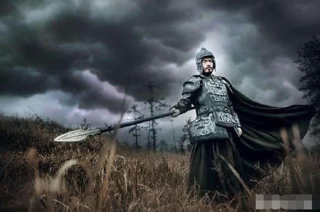 诸葛亮精心挑选的姜维，在正史中什么样?