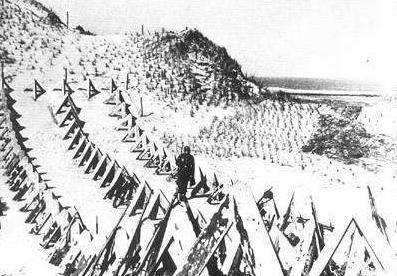 霸王计划简介 霸王计划的背景和结果介绍