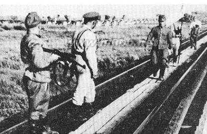 远东战役战场情况是什么样的 远东战役简介