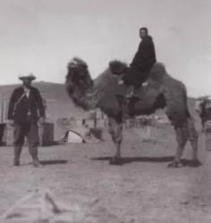 瑞典人到新疆寻宝，被5个土匪盯上，把测量仪器当大炮，差点气死