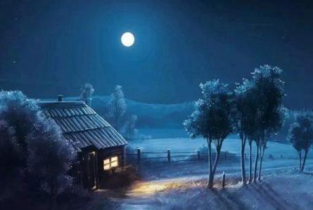 “天若有情天亦老”是谁写的