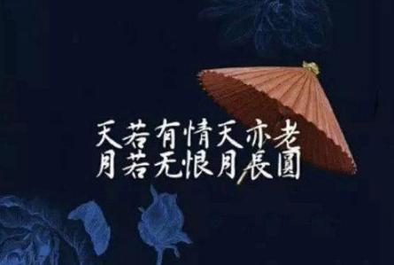 “天若有情天亦老”是谁写的