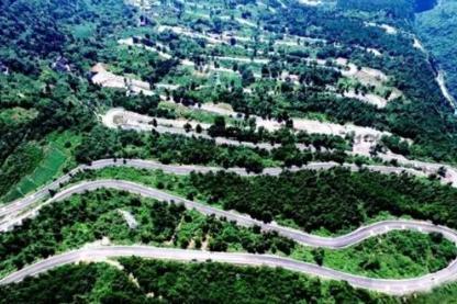 诸葛亮发明的木牛流马到底是什么东西 有什么作用呢