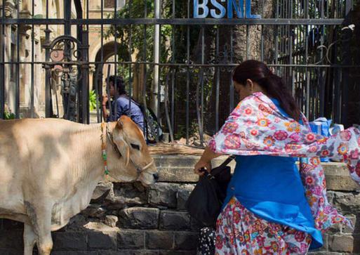 耆那教与佛教有什么不同