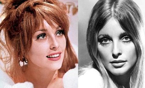 有关于好莱坞女星莎朗&middot;塔特的电影介绍 风华绝代却又红颜薄命