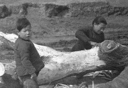 古代饥荒为何百姓宁愿吃土也不啃树皮呢 不是不想吃而是抢不到