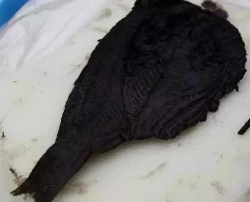 古代人都吃什么