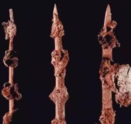 古代人都吃什么