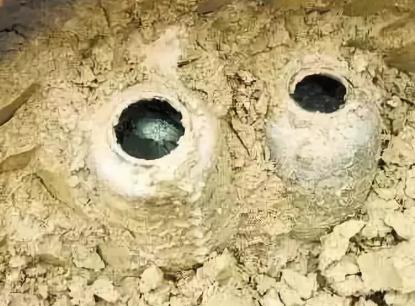 古代人都吃什么