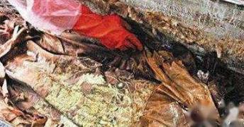 黄拙吾真的是废太子胤礽吗