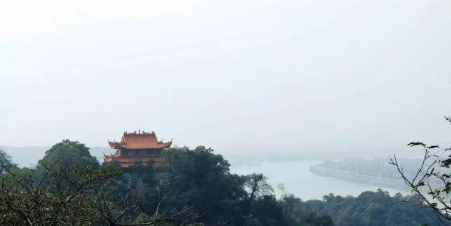 如果司马昭没有取代曹魏称帝,中国还会不会经历“五胡乱华”?