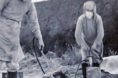 为何美军投了日本原子弹而不对德国丢