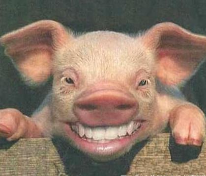 明朝皇帝为何不让百姓吃猪肉 究竟是什么原因导致的