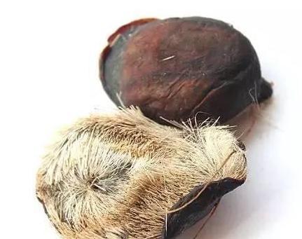 古代女子避孕方法有哪些 他们都是用什么方式呢