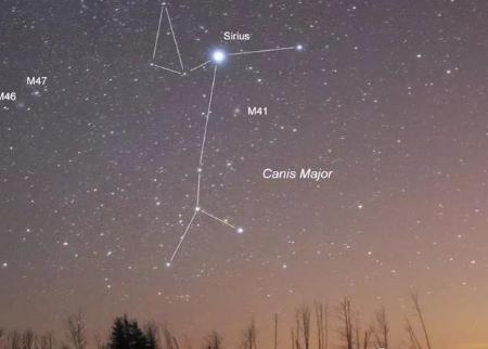 古代的埃及的历史到底是什么样的 又经历了多少个朝代