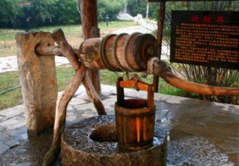 古人为何会在井中放两只乌龟在里面呢 这么做的意义是什么呢