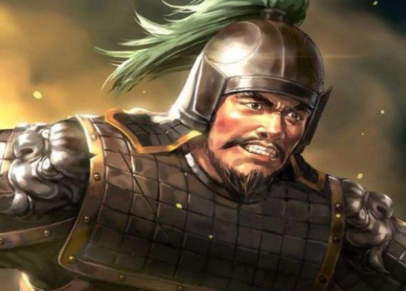 蜀汉的灭亡，姜维到底有多大责任