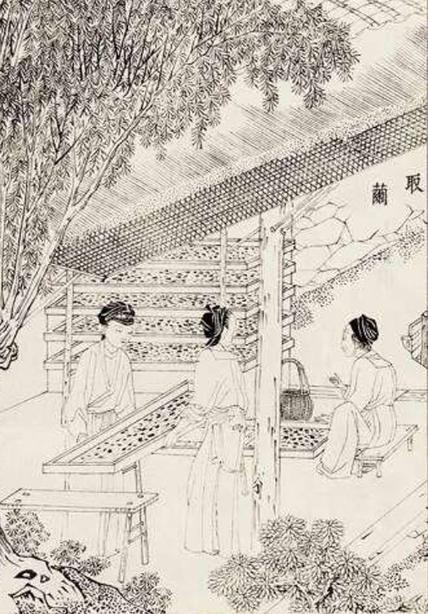 天工开物简介 天工开物的主要内容和创作背景介绍