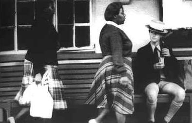 种族主义:一种自我中心的态度,认为种族差异决定人类社会历史和文化发展