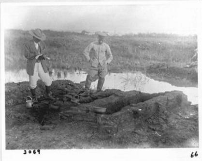 鸟居龙藏有着哪些成就