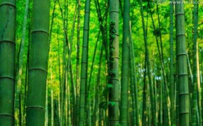 “格物”是什么