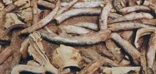 盘点四川“三星堆”13大未解之谜,轰动世界