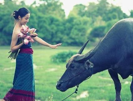 古代农民为何没有土地也不去开荒呢 主要的因为几点原因要考虑