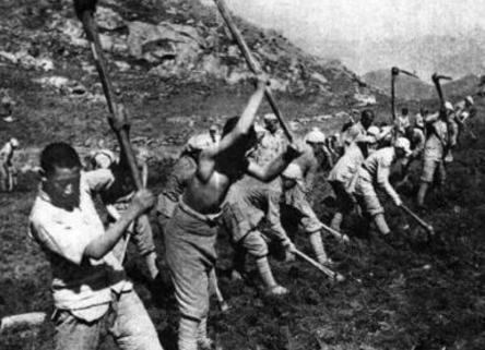 古代农民为何没有土地也不去开荒呢 主要的因为几点原因要考虑