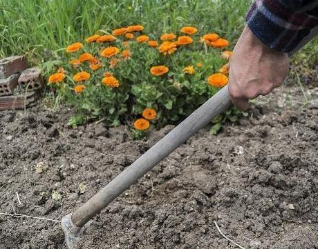 古代农民为何没有土地也不去开荒呢 主要的因为几点原因要考虑