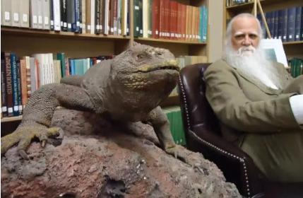 维多利亚时代的生活是什么样子的 有关记载又是什么样的