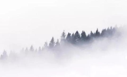 “镇北将军”南平王萧伟，为何晚年却“崇信佛理”