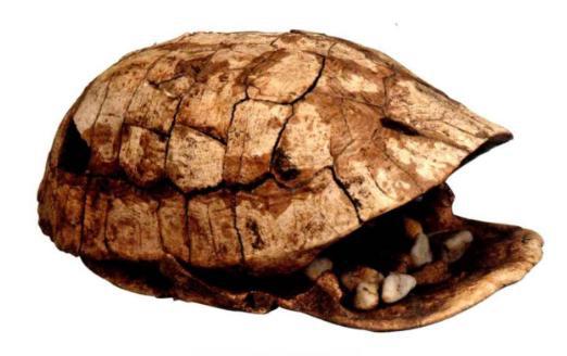 中国是什么时候进入新石器时代的