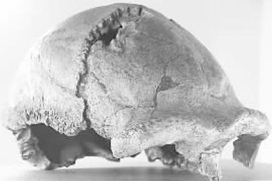 揭秘:中国失传的几大国宝有哪几个