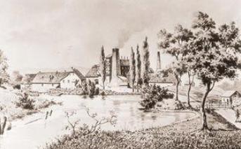 秦朝统一了六国，为何唯独灭不了闽越国