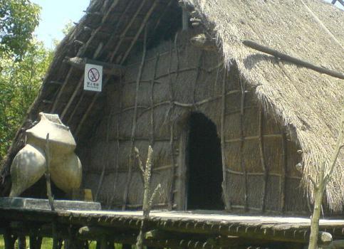 河姆渡文化主要分布在哪些地区