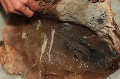 太岁究竟是何方神圣?亦或是何方妖孽