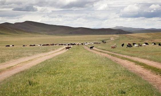 夏竦为何被罢免