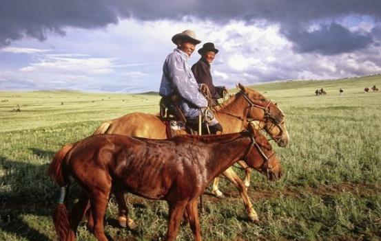 夏竦为何被罢免